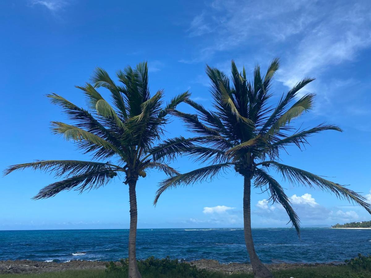 Villa Phare Caraibes Guadeloupe لو مول المظهر الخارجي الصورة